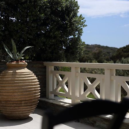 Aithra -Agios Petros Andros Villa Gavrio Exteriör bild