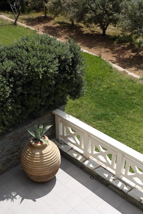 Aithra -Agios Petros Andros Villa Gavrio Exteriör bild