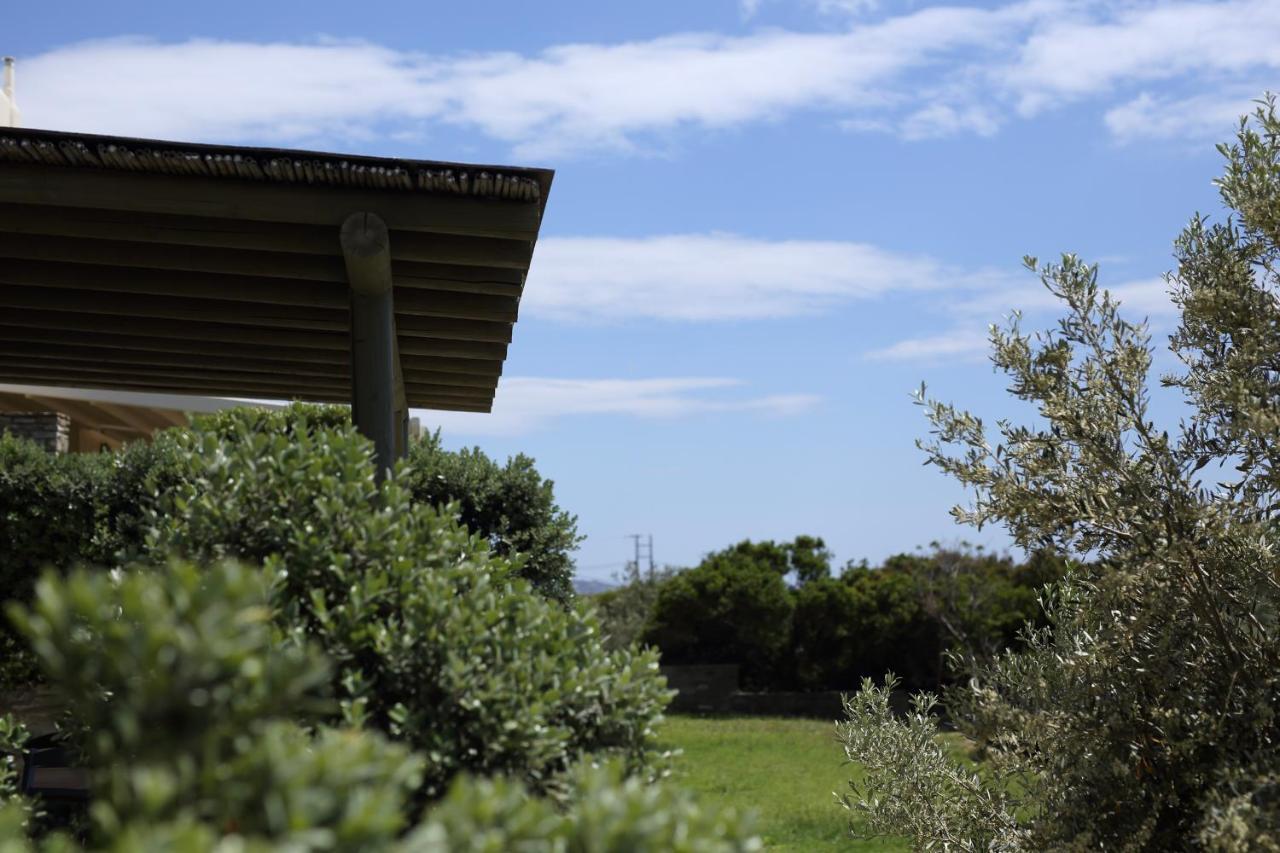 Aithra -Agios Petros Andros Villa Gavrio Exteriör bild