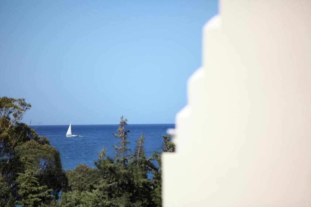 Aithra -Agios Petros Andros Villa Gavrio Exteriör bild