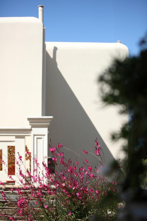 Aithra -Agios Petros Andros Villa Gavrio Exteriör bild